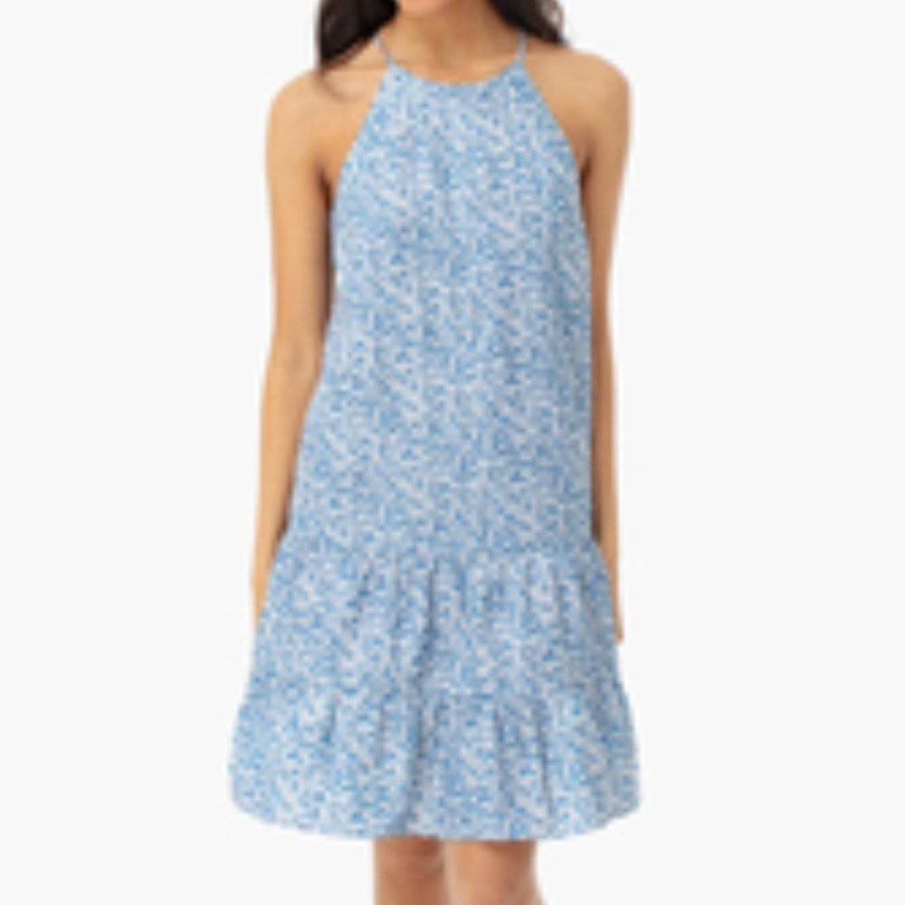 tuckernuck cornflower swing dress blue Size L